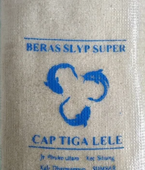 Beranda (60) (1)